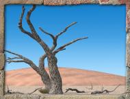 deadtree2