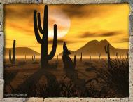 coyotte4