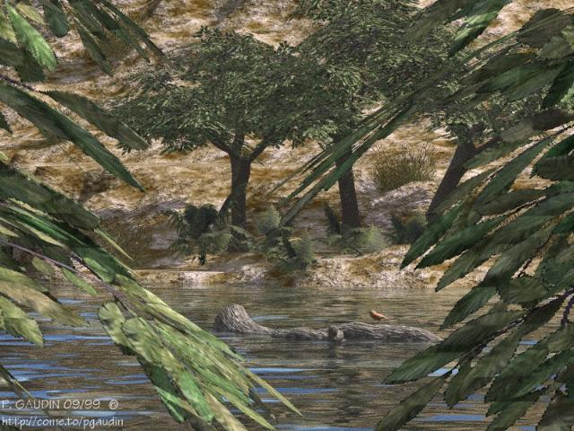 pass7e.jpg (77 kb)